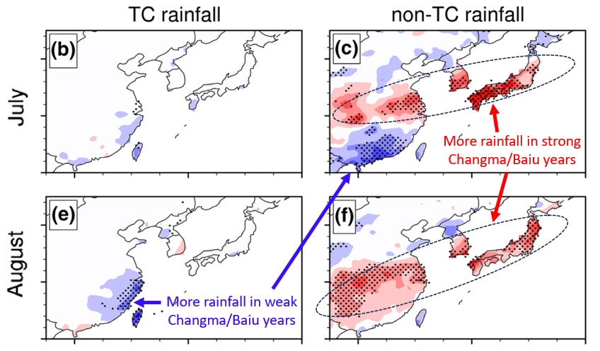 Differences in TC and non-TC rainfall between strong and weak Changma/Baiu years